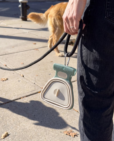 Scoopy Poop Catcher